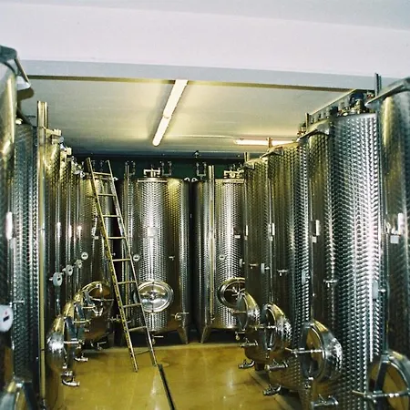 Country house Weingut Schlafgut Genussgut Lorenz