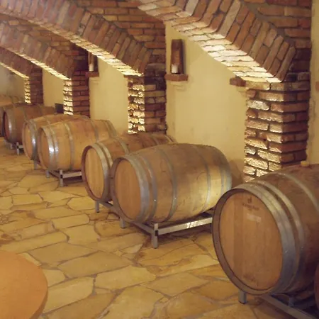 Weingut Schlafgut Genussgut Lorenz Kitzeck im Sausal