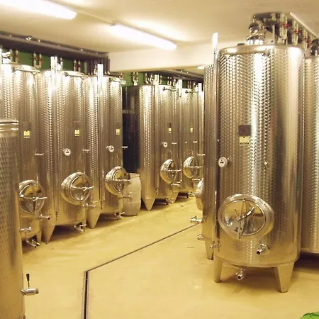 Weingut Schlafgut Genussgut Lorenz Landsted Kitzeck im Sausal