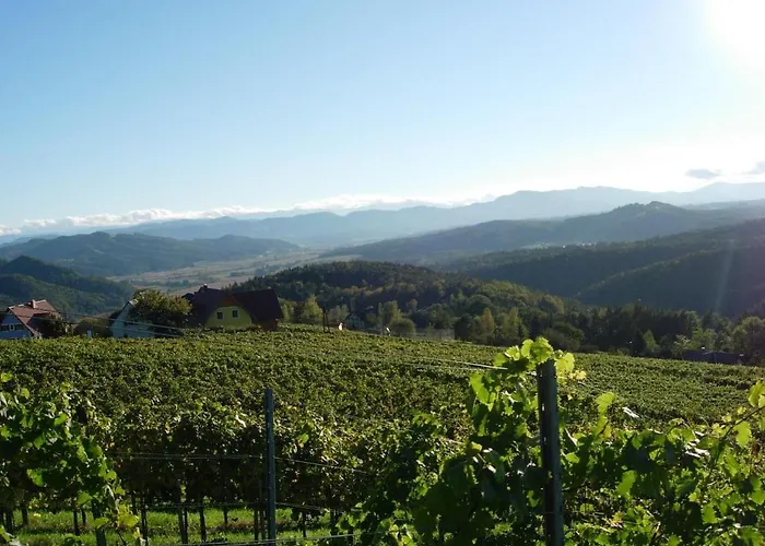 葛诺斯古特洛伦茨乡村旅馆 *