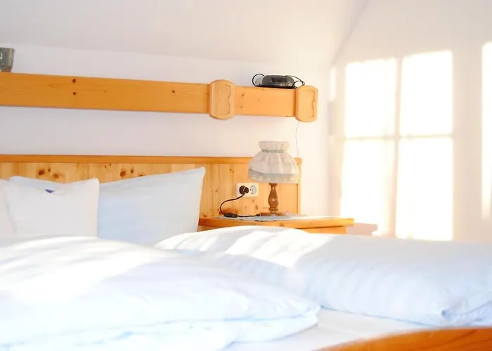 乡村民宿 葛诺斯古特洛伦茨乡村旅馆 *