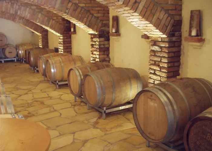 葛诺斯古特洛伦茨乡村旅馆 绍萨尔地区基策克