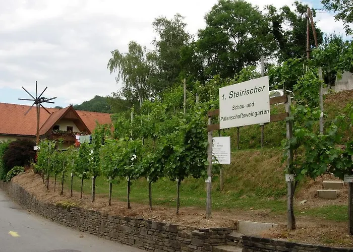 葛诺斯古特洛伦茨乡村旅馆 乡村民宿 绍萨尔地区基策克